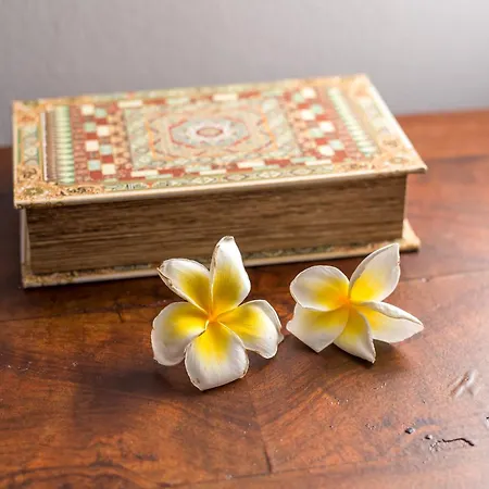 Thelia Rhodian Traditional House