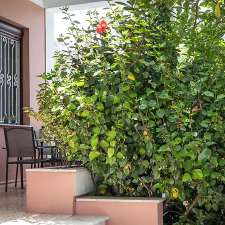 Thelia Rhodian Traditional House * עיר רודוס