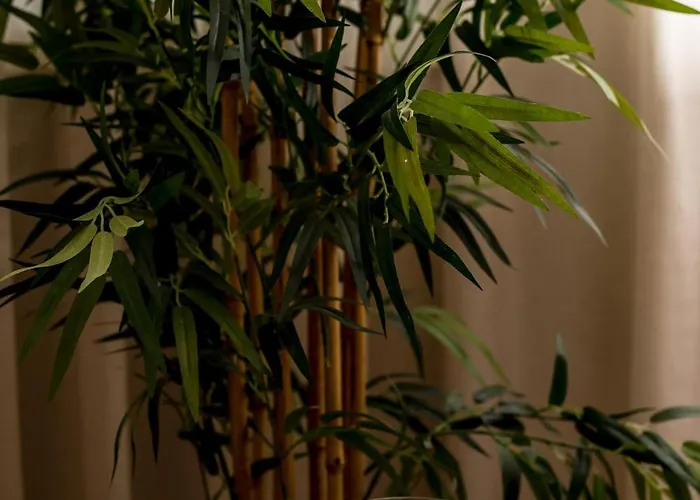 Thelia Rhodian Traditional House * Rhodes City