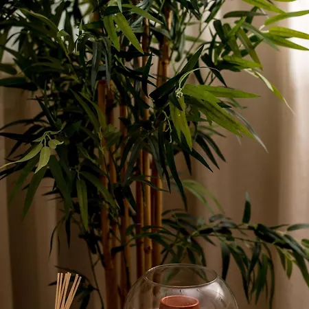 Thelia Rhodian Traditional House * Rhodes City